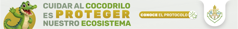 banner-cocodrilos_vive-vallarta-728x-90px