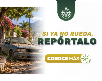 banner-reporte-autos_vive-vallarta-350x-280px- banner-reporte-autos_vive-vallarta-350x-280px-
